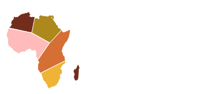 African Digital Conference